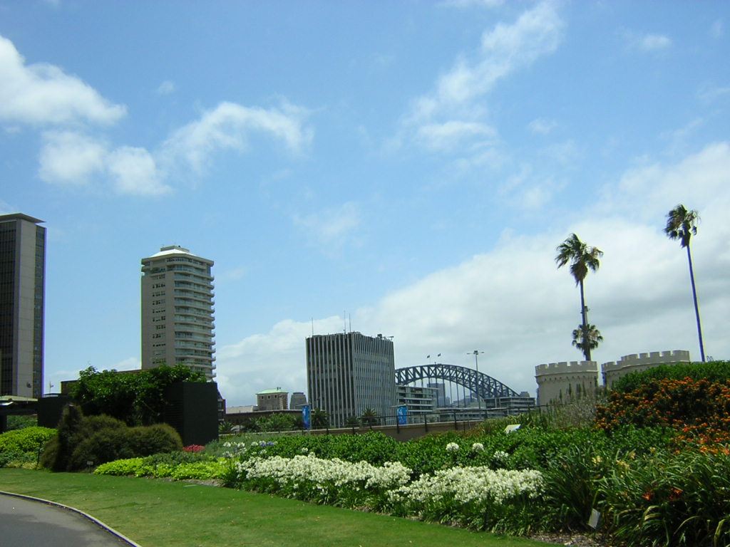 悉尼皇家植物园 皇家植物园 植物园 植物研究