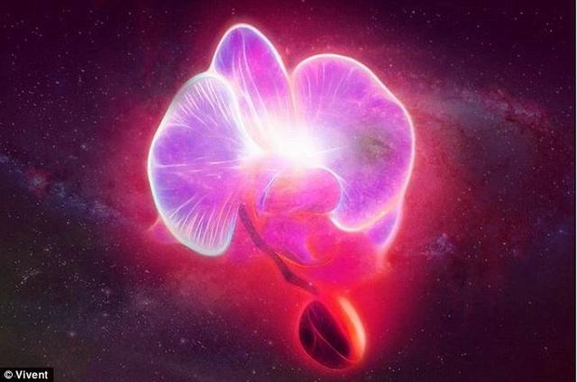 瑞士最新装置可以倾听植物的“窃窃私语”