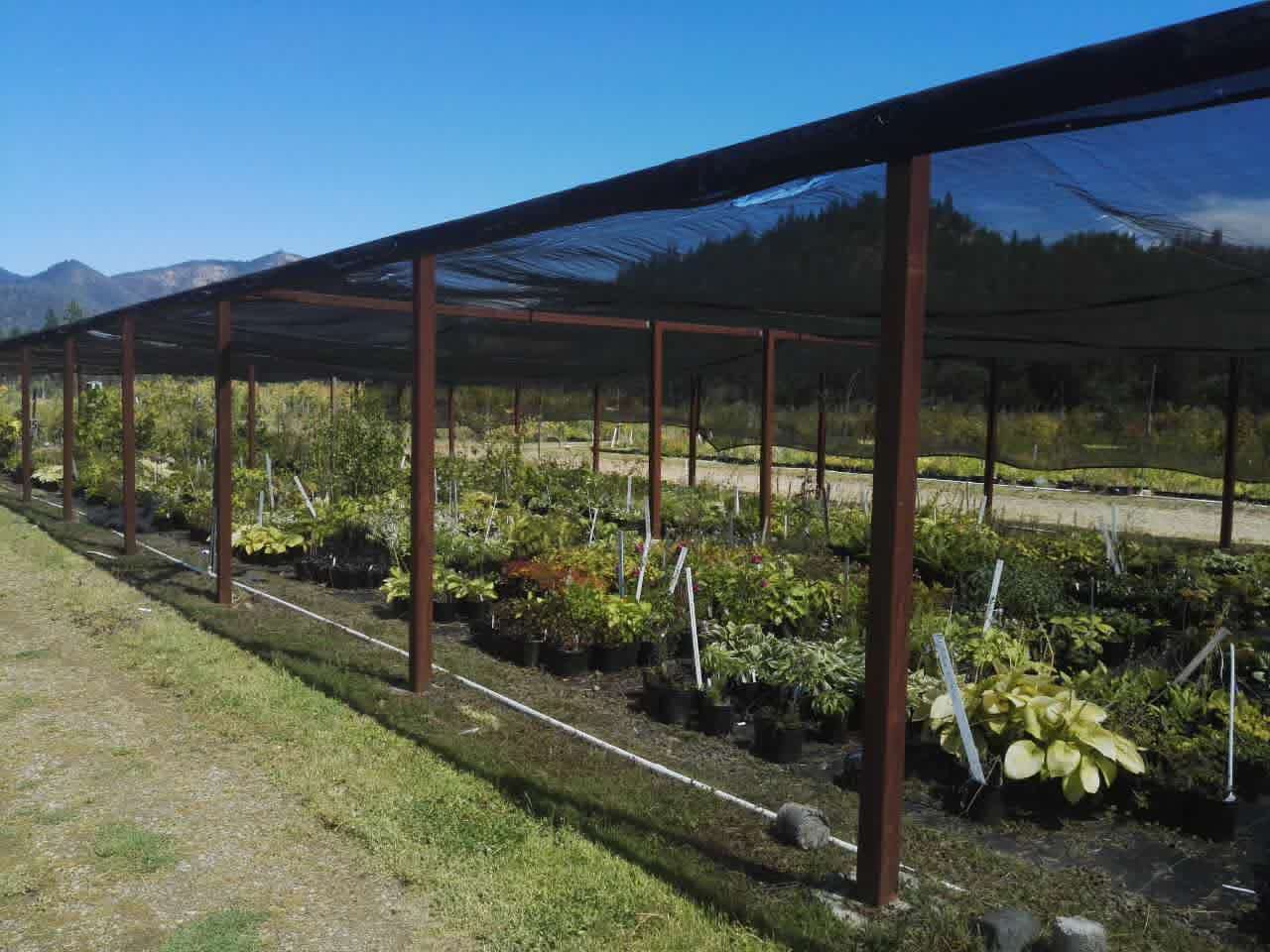 【美国考察】雷丁和旧金山站：感受那些别致的景观设计