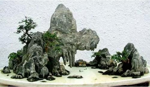 盆景七大类，你都知道吗？