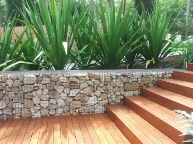 石笼与植物搭配大全