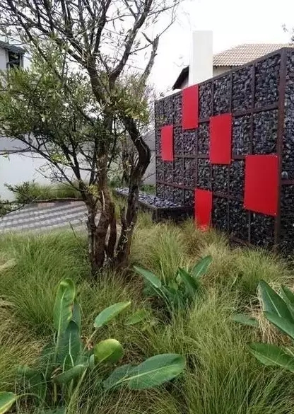 石笼与植物搭配大全