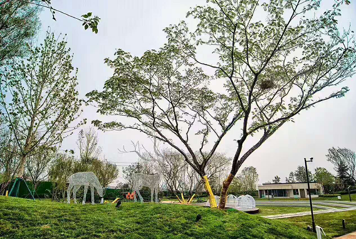 园冶杯专业奖：济南万科龙湖城市之光施工