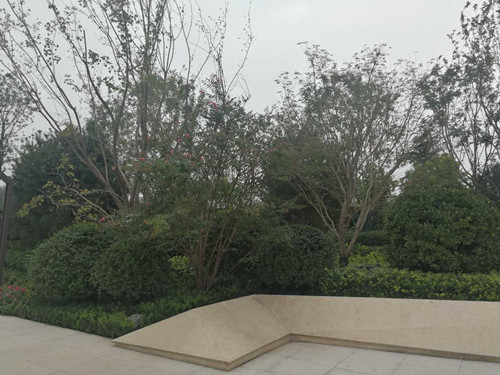 园冶杯专业奖：济南万科龙湖城市之光施工