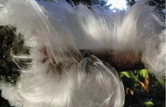ôغ̫Ȼ