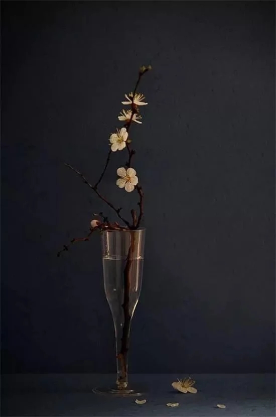 你家房子需要一点花艺