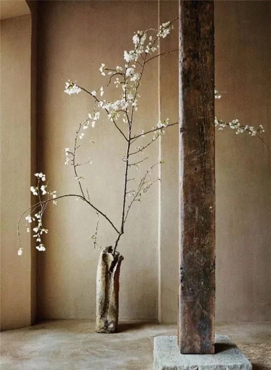 你家房子需要一点花艺