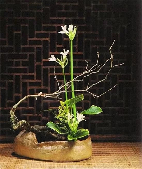 你家房子需要一点花艺