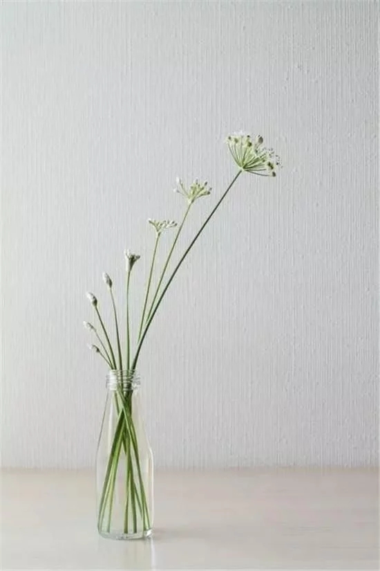 你家房子需要一点花艺