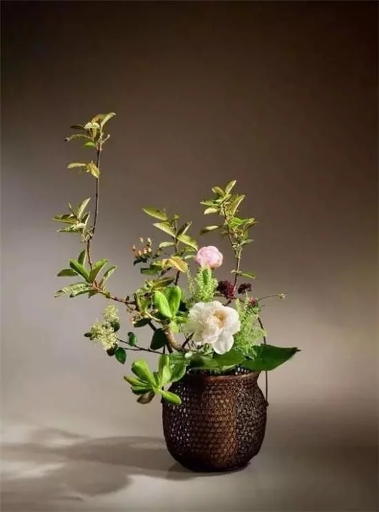 你家房子需要一点花艺