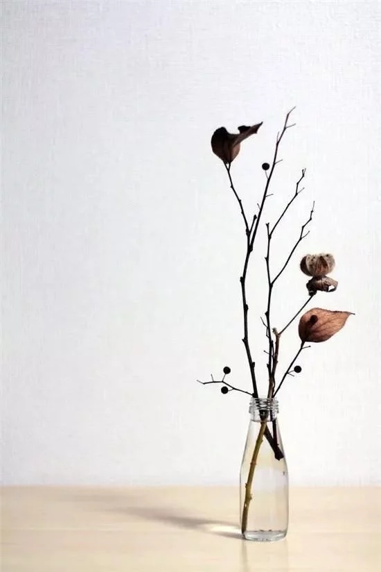 你家房子需要一点花艺