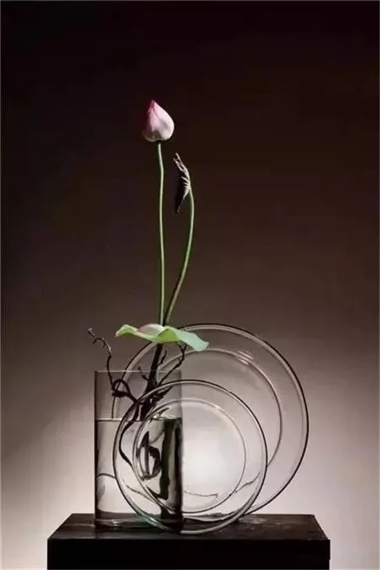 你家房子需要一点花艺