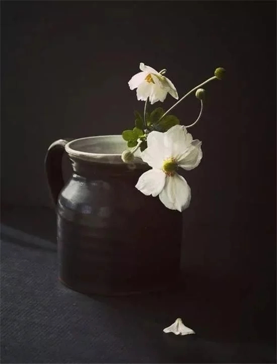 你家房子需要一点花艺