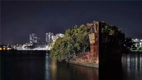 经历过一战二战最后成为独特景观
