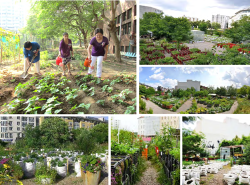 郭琼莹：宜居城市的战略规划——都市保护区系统之建置