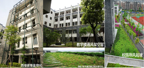汪滋淞：绿色校园及同济大学绿色建筑概述