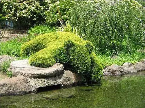 全球创意主题植物雕塑欣赏