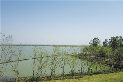 合肥积极整改恢复巢湖湿地